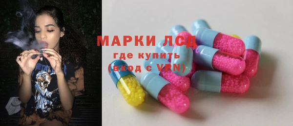 гашик Майский