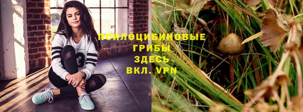 дмт Липки